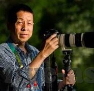 精品人妻在线-网络世界的另一面，精品人妻在线的多元视角
