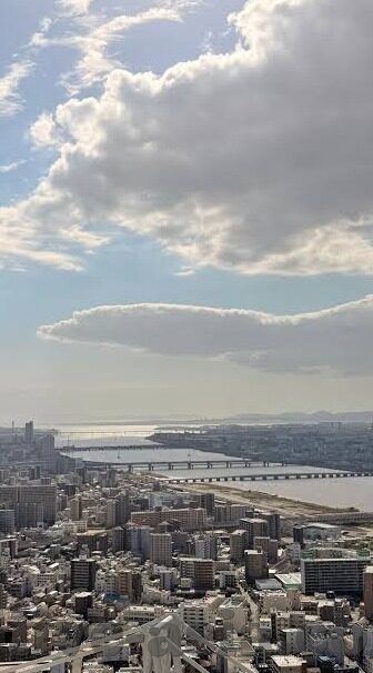 糖心tv官网-网络世界的多彩窗口,揭开糖心TV的神秘面纱